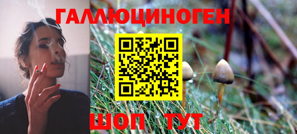 Кандалакша  Галлюциногенные грибы MAGIC MUSHROOMS  Вход с VPN 